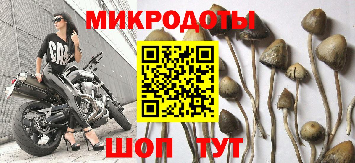 Галлюциногенные грибы прущие грибы  Вход с VPN  Малгобек 
